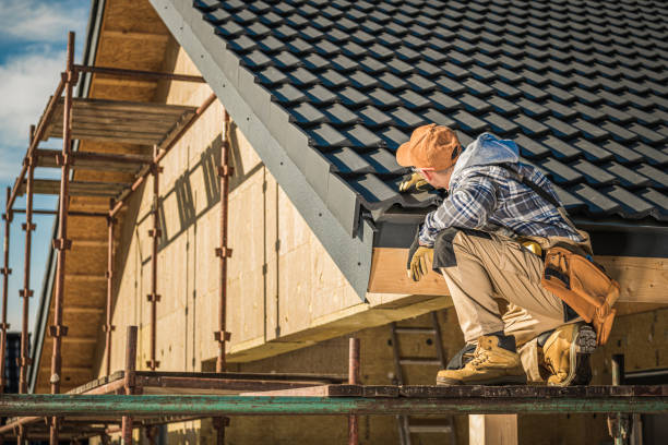 Best Asphalt Shingle Roofing  in Mount Clemens, MI