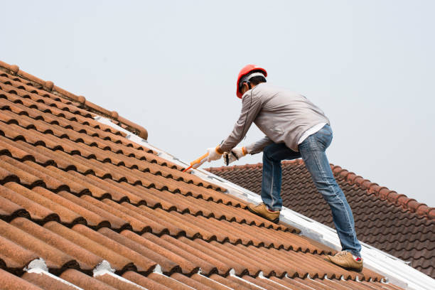 Best Chimney Flashing Repair  in Mount Clemens, MI