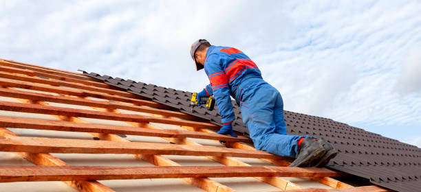 Best Wood Shake Roofing  in Mount Clemens, MI