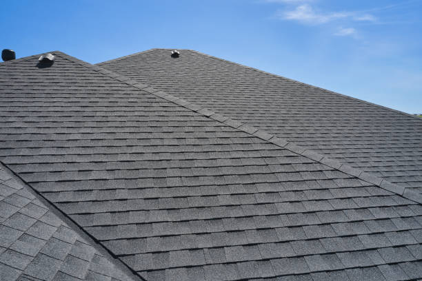 Best Roof Moss and Algae Removal  in Mount Clemens, MI